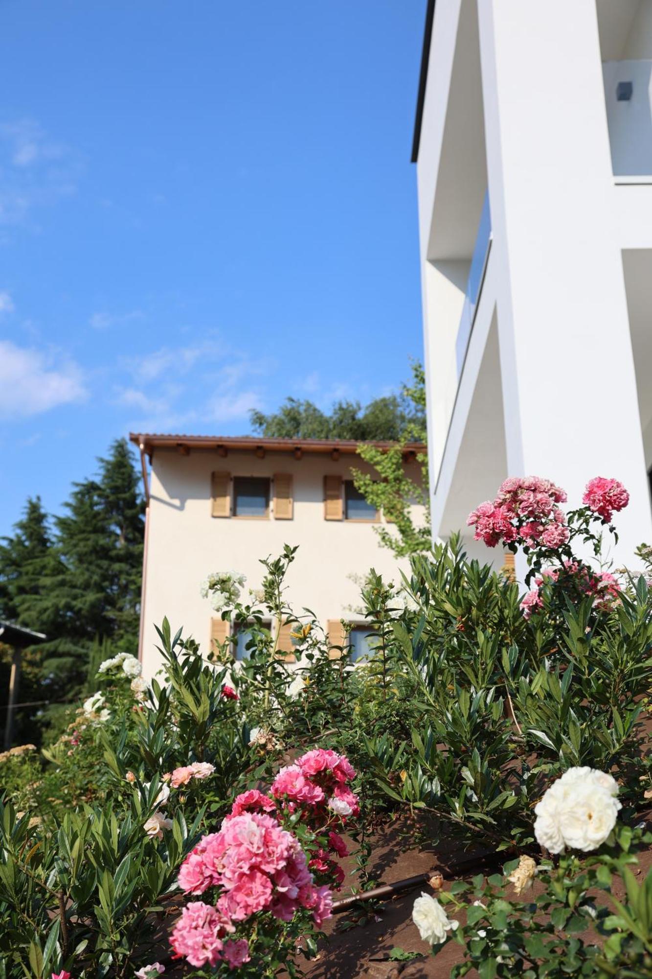 Midum Luxuryapartments Trente Buitenkant foto